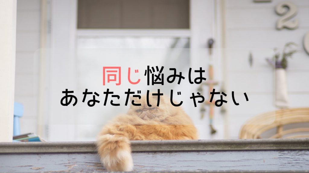 もふもふの茶色い猫が階段の上からこっちを見つめている