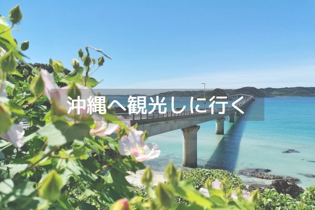 沖縄にある大きな橋と白い花